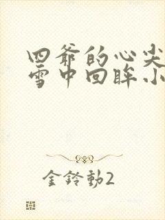 四爷的心尖宠妃雪中回眸小说免费完本封面