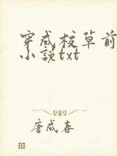 穿成校草前男友小说txt封面