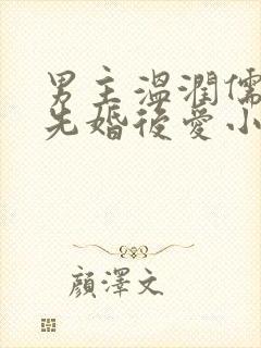 男主温润儒雅的先婚后爱小说