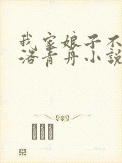 我家娘子不对劲洛青舟小说