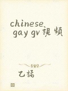 chinese gay gv视频封面