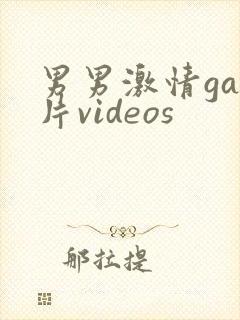 男男激情gay片videos