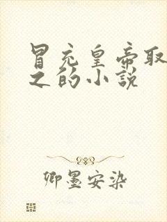 冒充皇帝取而代之的小说