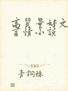 高质量好文笔的言情小说