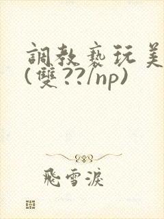调教亵玩美人受(双??/np)