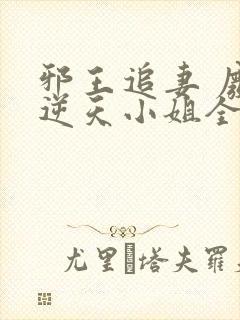 邪王追妻 废材逆天小姐全文阅读