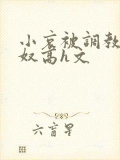 小哀被调教成肉奴高h文封面