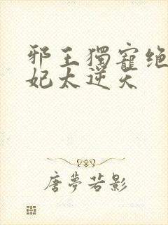 邪王独宠绝世医妃太逆天封面