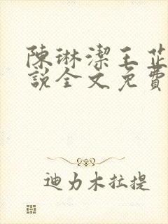 陈琳洁王芷君小说全文免费阅读最新章节列表