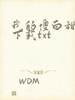 我的傻白甜老婆下载txt封面
