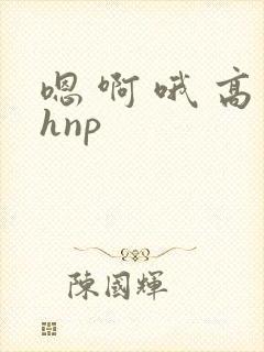 嗯 啊 哦 高hnp封面