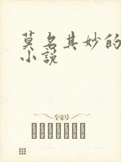 莫名其妙的爱情小说