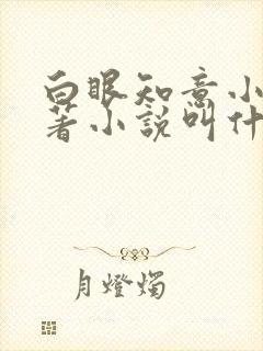 白眼知意小说原著小说叫什么名字啊