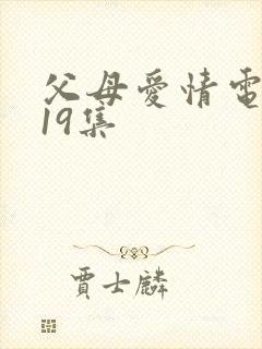 父母爱情电视剧19集