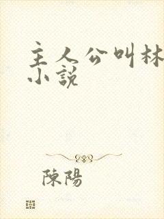 主人公叫林凡的小说