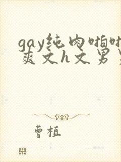 gay纯肉啪啪爽文h文男男np