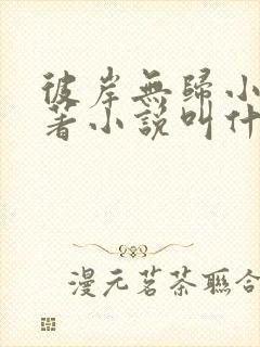 彼岸无归小说原著小说叫什么封面