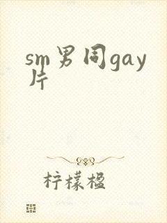 sm男同gay片