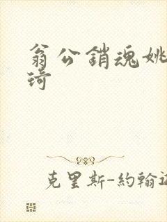 翁公销魂姚瑶琦琦封面