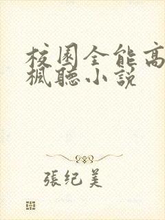 校园全能高手季枫听小说封面