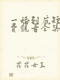 一婚到底短剧免费观看全集高清封面