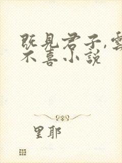 既见君子,云胡不喜小说