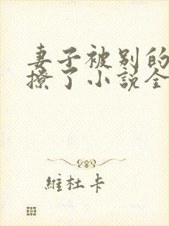 妻子被别的男人撩了小说全文阅读