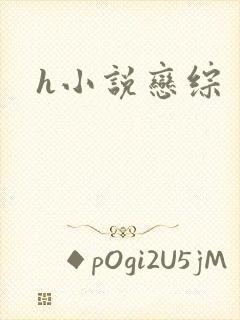 h小说恋综