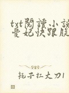 txt阅读小说爱妃快跟朕回家