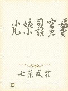 小姨司空嫣然叶凡小说免费阅读全文封面
