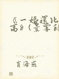 《一婚还比一婚高》(晨雾的光)小说免
