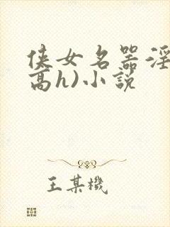 侠女名器淫史(高h)小说封面