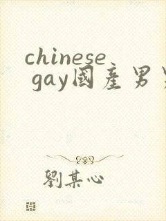 chinese gay国产男男