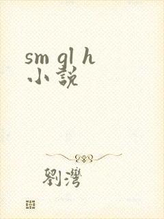 sm gl h小说封面