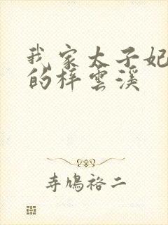 我家太子妃超凶的梓云溪