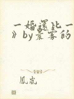 一婚还比一婚高》by晨雾的光