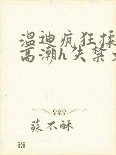 温迪疯狂揉肉蒂高潮h失禁文封面