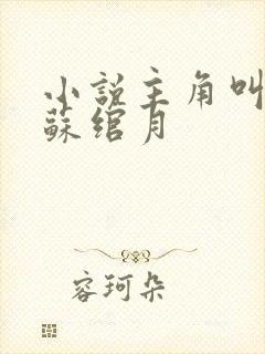 小说主角叫林凡苏绾月