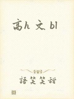 高h 文 bl