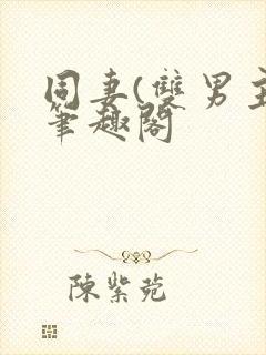 同妻(双男主)笔趣阁