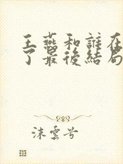 王燕和谁在一起了最后结局封面