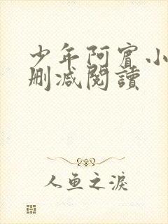 少年阿宾小说无删减阅读