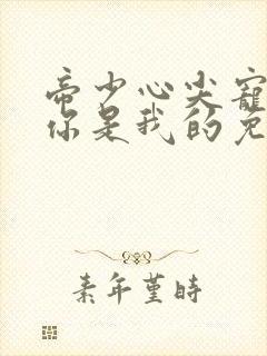 帝少心尖宠丫头你是我的免费阅读