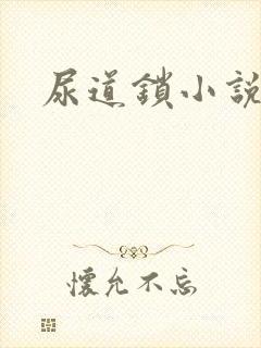 尿道锁小说