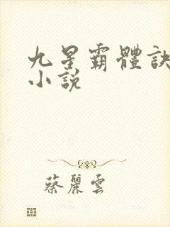 九星霸体诀系列小说