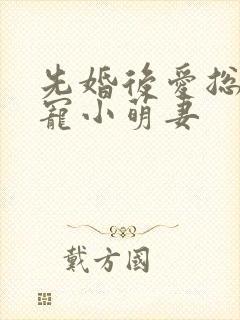 先婚后爱总裁盛宠小萌妻