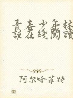 青春少年林以小说在线阅读