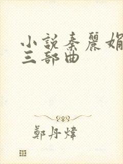 小说秦丽娟外传三部曲