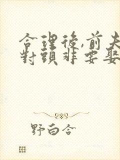 合理后,前夫死对头非要娶我