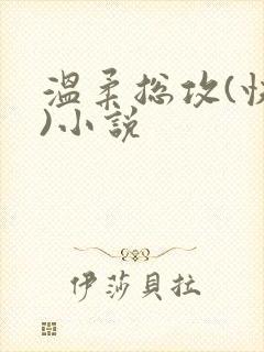 温柔总攻(快穿)小说